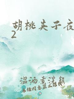 胡桃夹子夜未眠2