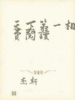 天下第一相书免费阅读