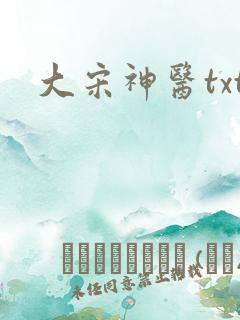 大宋神医txt