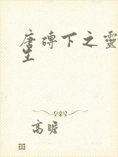 唐砖下之灵域双生