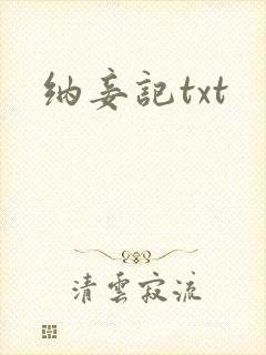 纳妾记txt