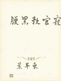 腹黑教官宠逃妻