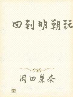 回到明朝玩网游