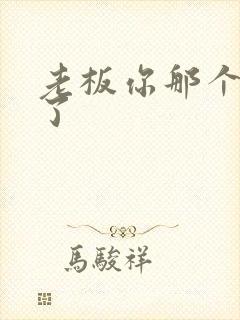 老板你那个太长了