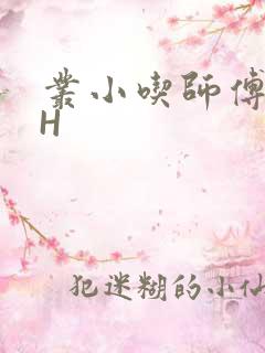 丛小吃师傅的HH