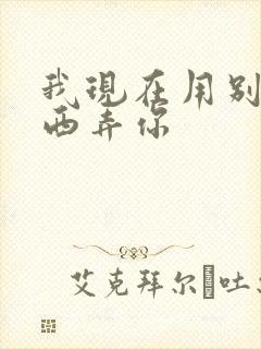 我现在用别的东西弄你