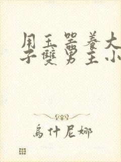 用玉器养大的皇子双男主小说