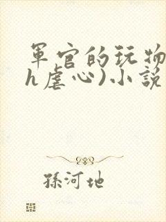 军官的玩物(高h虐心)小说