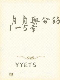 月月与公的激情1一5章