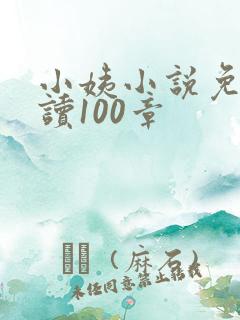 小姨小说免费阅读100章