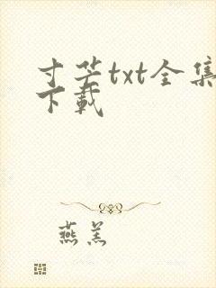 寸芒txt全集下载