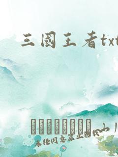 三国王者txt