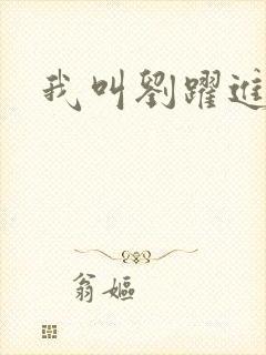 我叫刘跃进下载