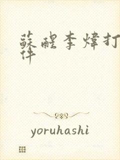 苏醒李炜打架事件