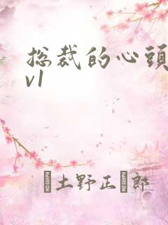 总裁的心头宝1v1