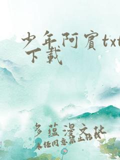 少年阿宾txt 下载
