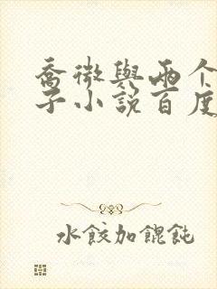 乔微与两个小包子小说百度免费阅读