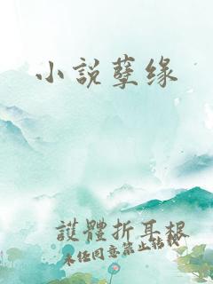 小说孽缘