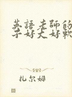 英语老师的小兔子好大好软水