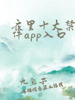 夜里十大禁用软件app入口