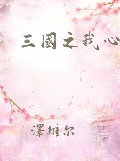 三国之我心狂想