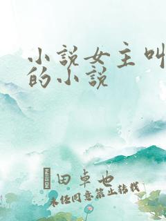 小说女主叫洛蓝的小说