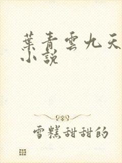 叶青云九天玄宗小说