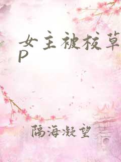 女主被校草们NP