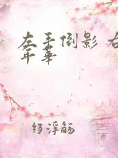 左手倒影 右手年华