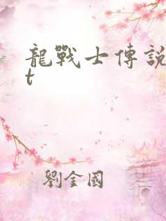 龙战士传说txt