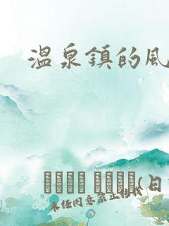 温泉镇的风流事