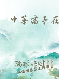 中华高手在异世