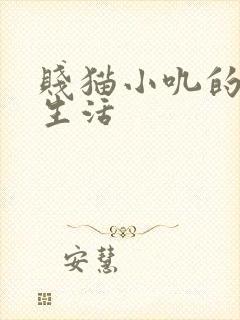 贱猫小叽的幸福生活
