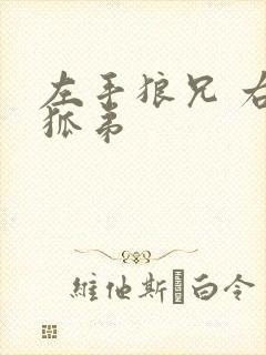 左手狼兄 右手狐弟