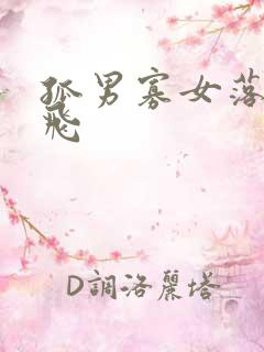 孤男寡女落瑛纷飞