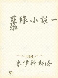 孽缘小说一家乱炖