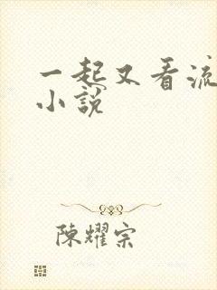 一起又看流星雨小说