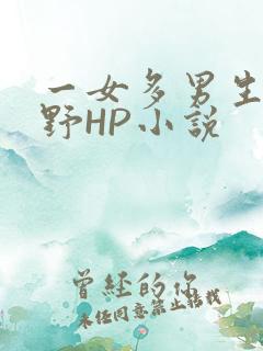 一女多男生活狂野HP小说