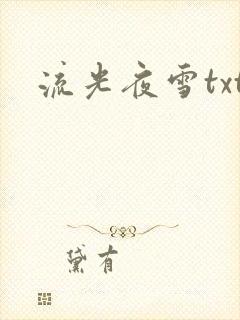 流光夜雪txt