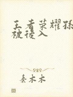 王者荣耀孙尚香被后入