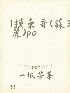 l模东哥(苏玛丽)po