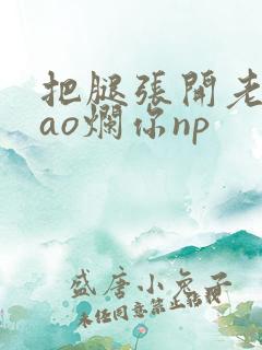 把腿张开老子cao烂你np