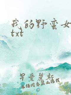 我的野蛮女上司txt