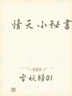 情天小秘书