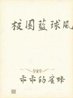 校园蓝球风云