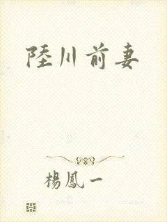陆川前妻