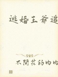 逃婚王爷追逃妃