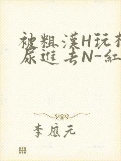 被粗汉H玩松了尿进去N-红-Q