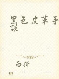 黑色皮革手册小说