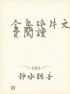 全息碎片文轩免费阅读